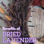 Benefits of Dried Lavender: One of the benefits of drying lavender is that you can use it in home decor, making items like wreaths from it.