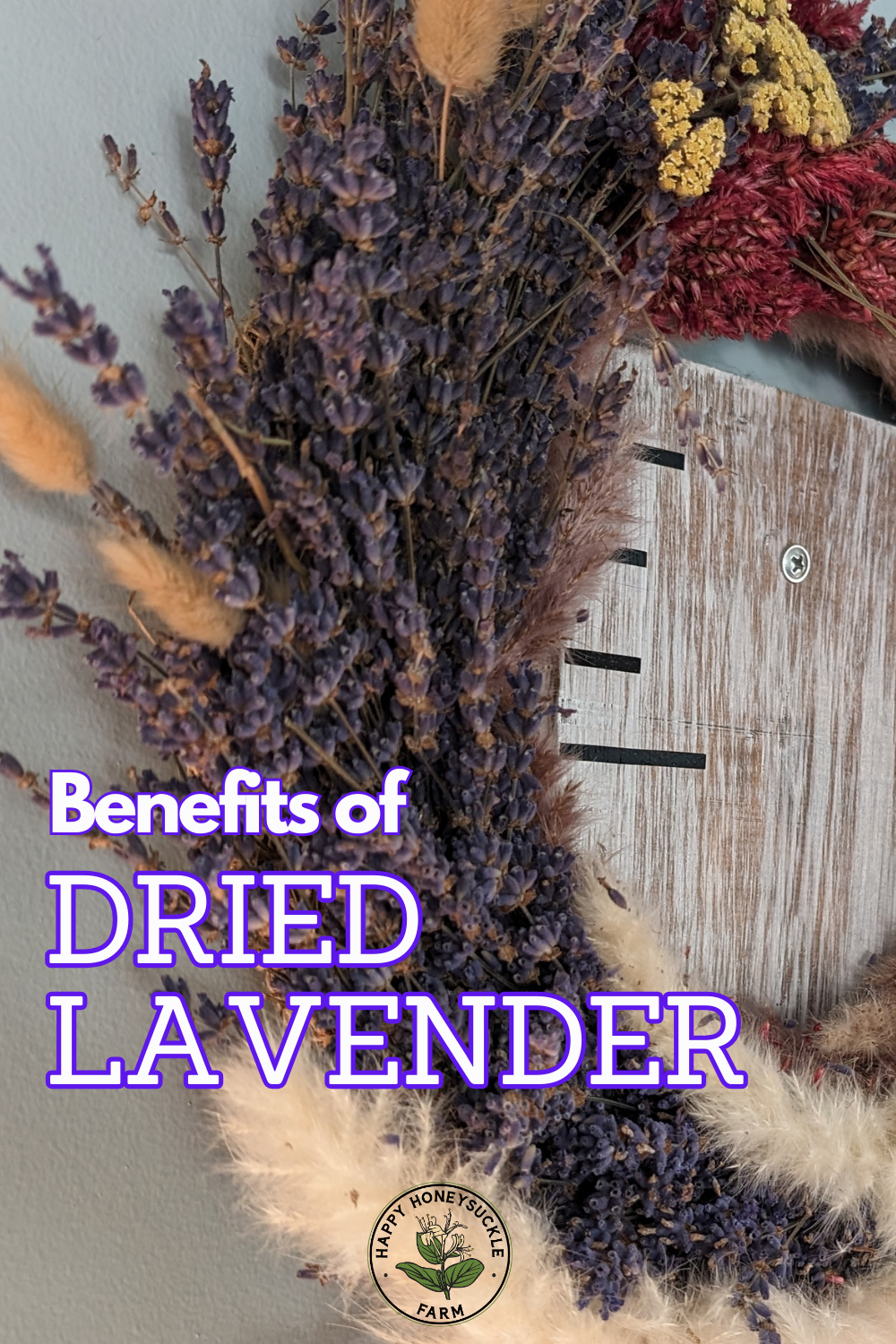 Benefits of Dried Lavender: One of the benefits of drying lavender is that you can use it in home decor, making items like wreaths from it.